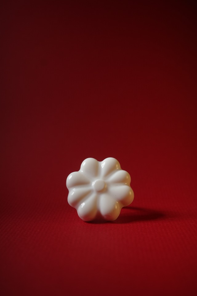 白いやさしいお花の指輪