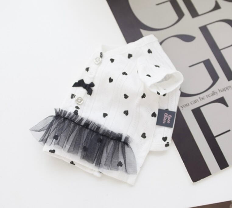 〖予約〗C0030 ラビトップス