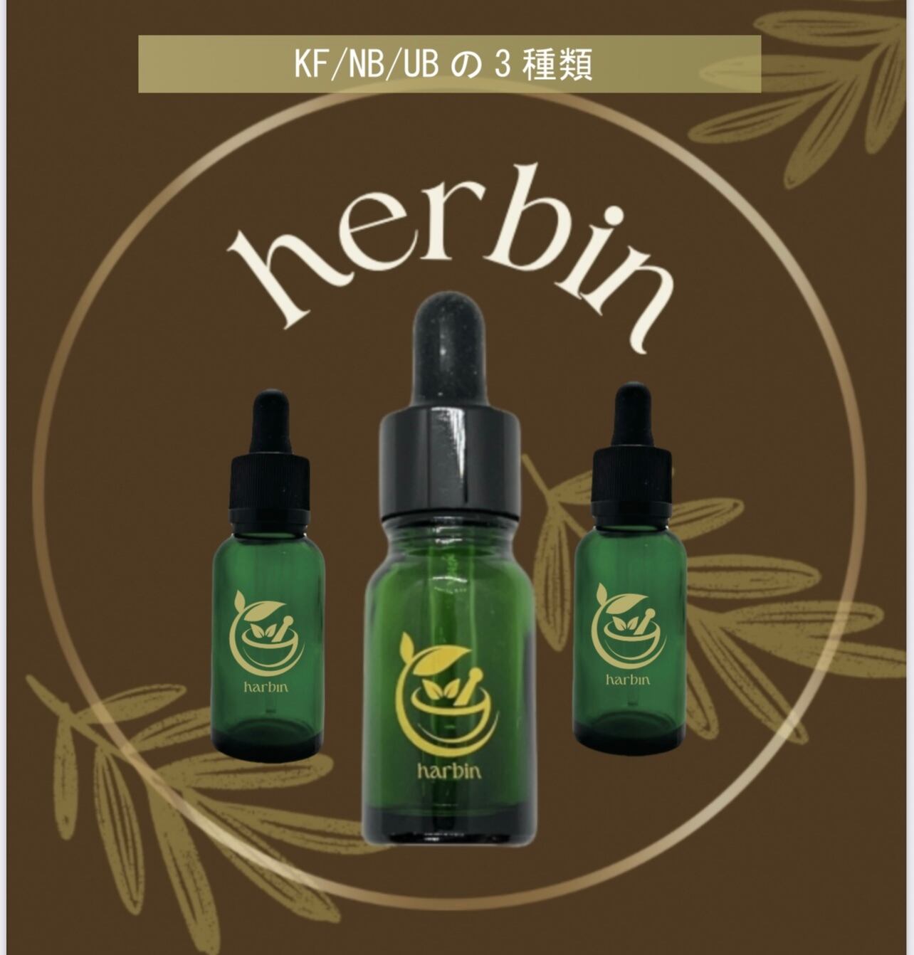 化粧水3本セット】クレオリ 24 琥珀スキンローション 130mL クレオリ