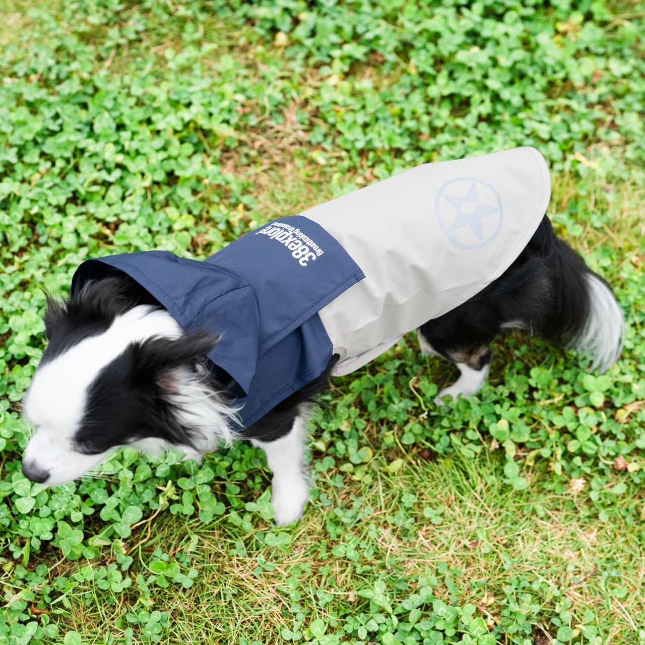 38DOG RAINCORT / NAVY