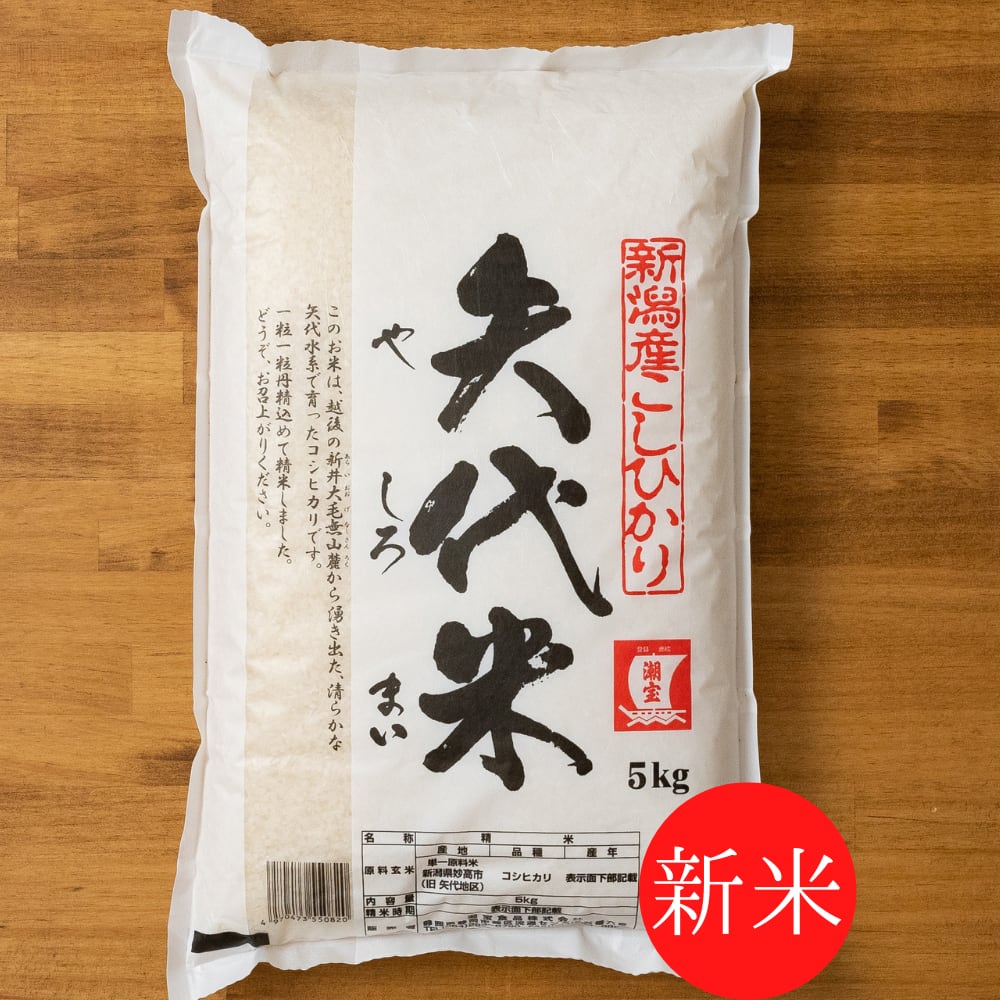 令和5年度千葉県産 コシヒカリ 玄米25キロ