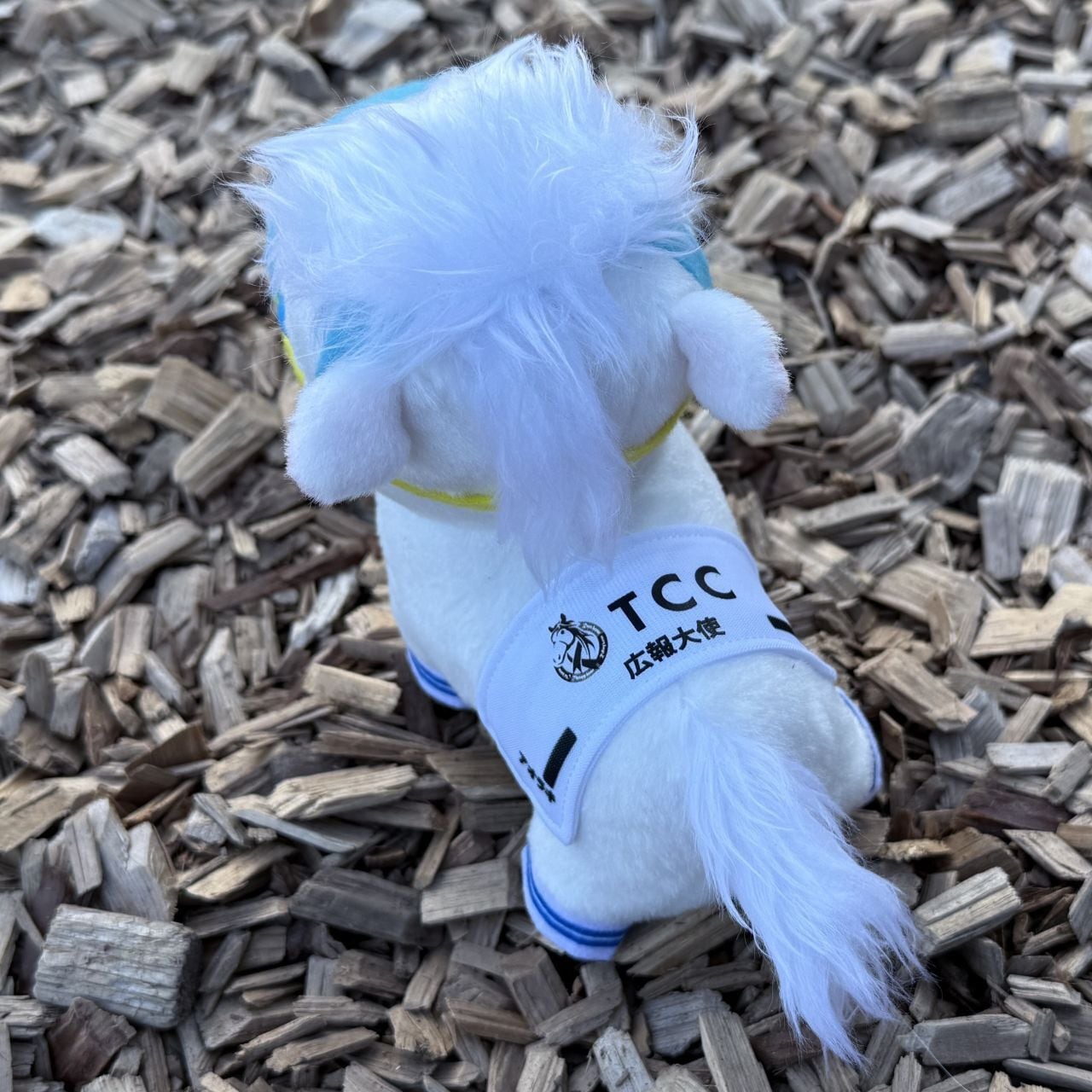 TCC 広報大使」アオラキ ぬいぐるみ | TCC ONLINE STORE