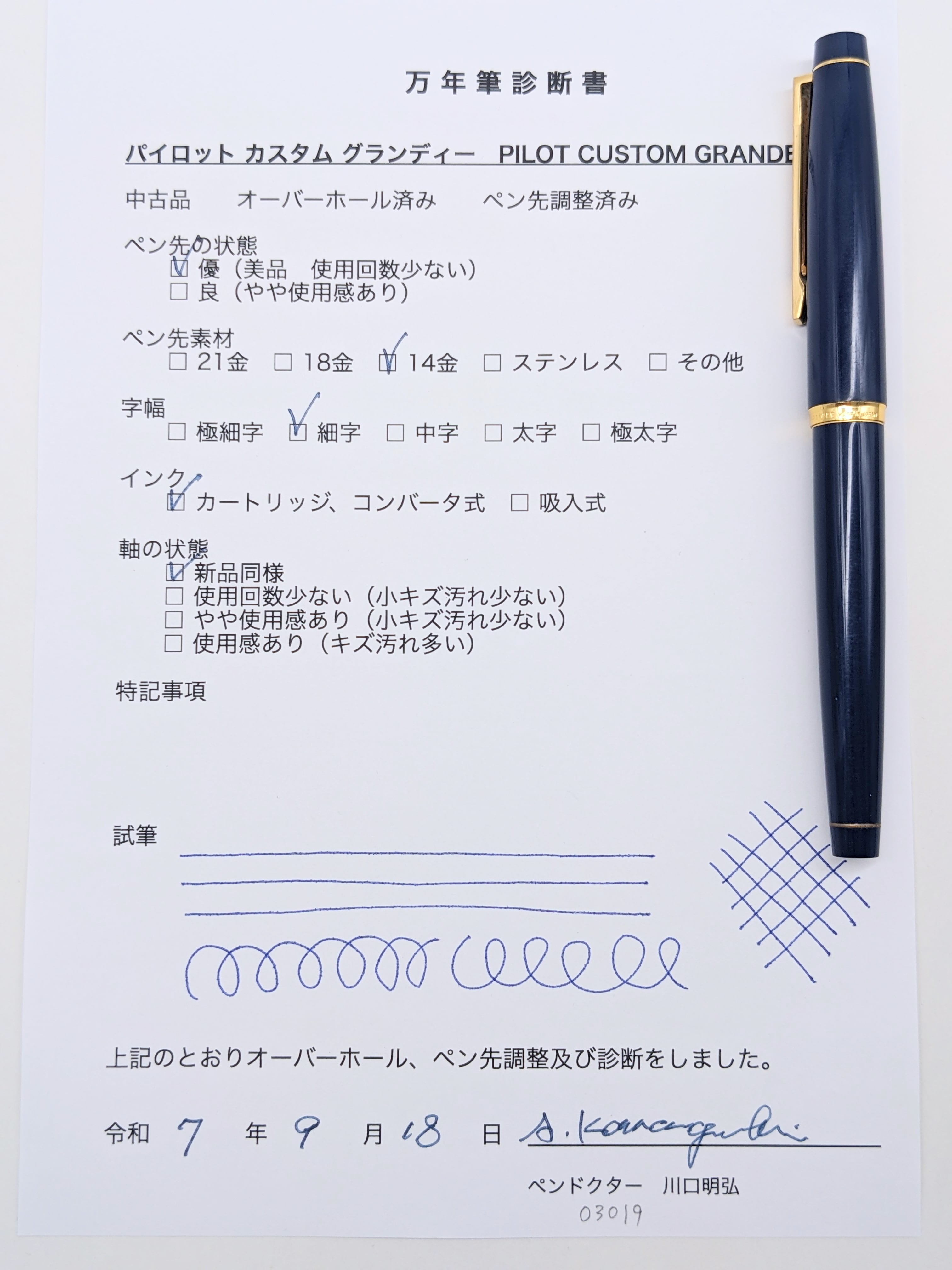 1979 パイロット カスタム グランディー ネイビー PILOT CUSTOM