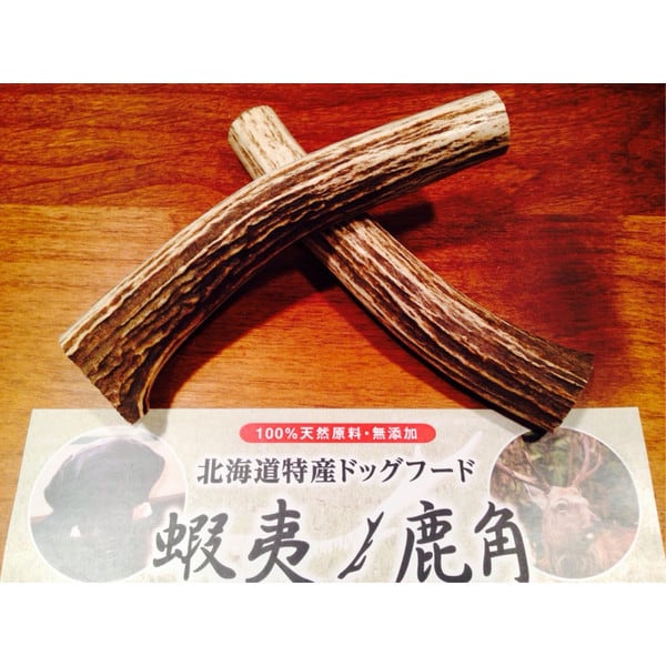 北海道蝦夷鹿角
