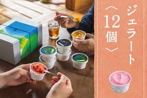 【夏の贈り物】 季節のジェラート12個入　*日時指定可能