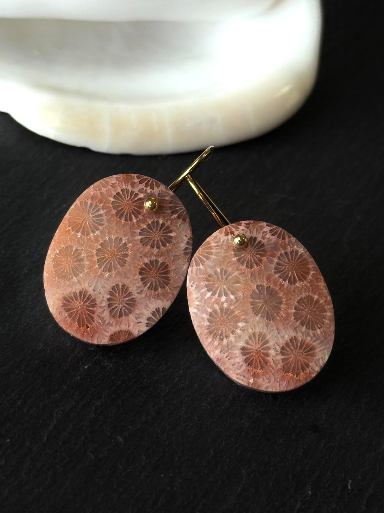 珊瑚が生み出した唯一無二の模様〈フォシルコーラル〉ピアス
