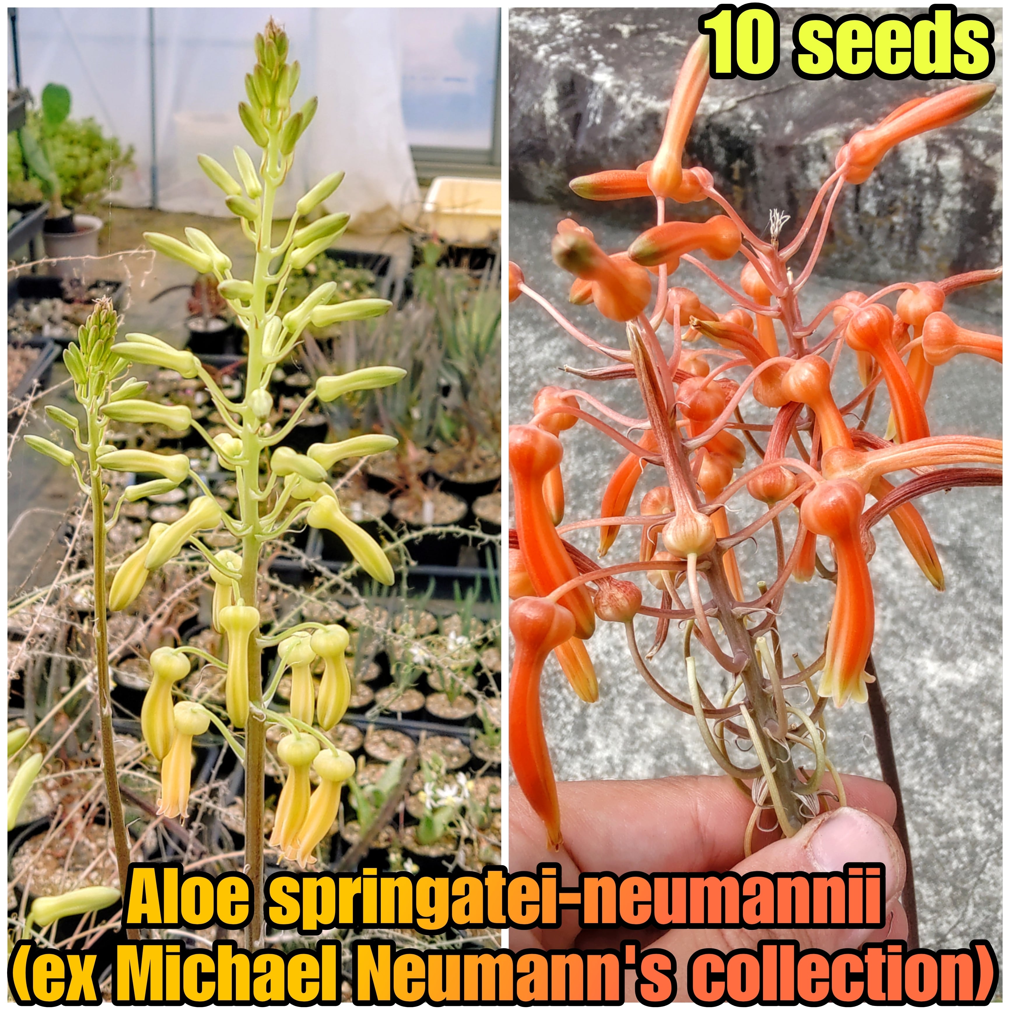 051f2a562b09f9e044aade5f0a278f