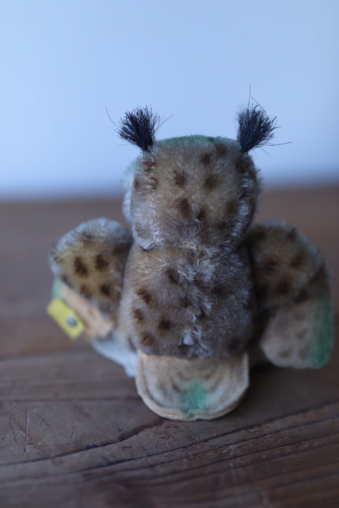 ヴィンテージ シュタイフ フクロウ  Wittie 12㎝