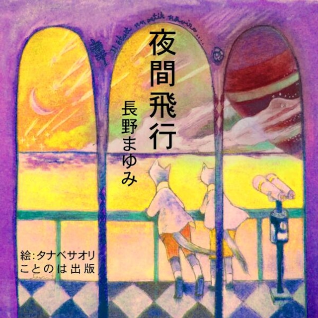 ［ 朗読 CD ］夜間飛行  ［著者：長野まゆみ]  ［朗読：矢澤 亜希子］ 【CD3枚】 全文朗読 送料無料 オーディオブック AudioBook