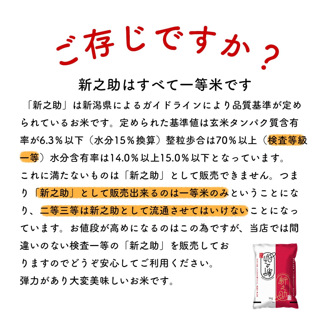 新米入荷】 新潟産 新之助 10kg 一等米 令和8年産 送料無料 沖縄のぞく