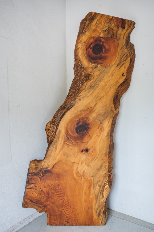 黒松（Black Pine）