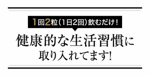 ターミナリアファイン premium 機能性表示食品 機能性関与成分、注目のスーパーフルーツ「ターミナリアベリリカ」 健康食品 脂肪 糖 血糖 血糖値 中性脂肪 ターミナリアベリリカ