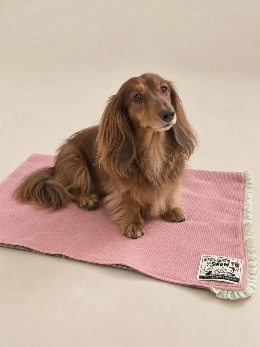 予約【noonoosoom】Little Spot Mat