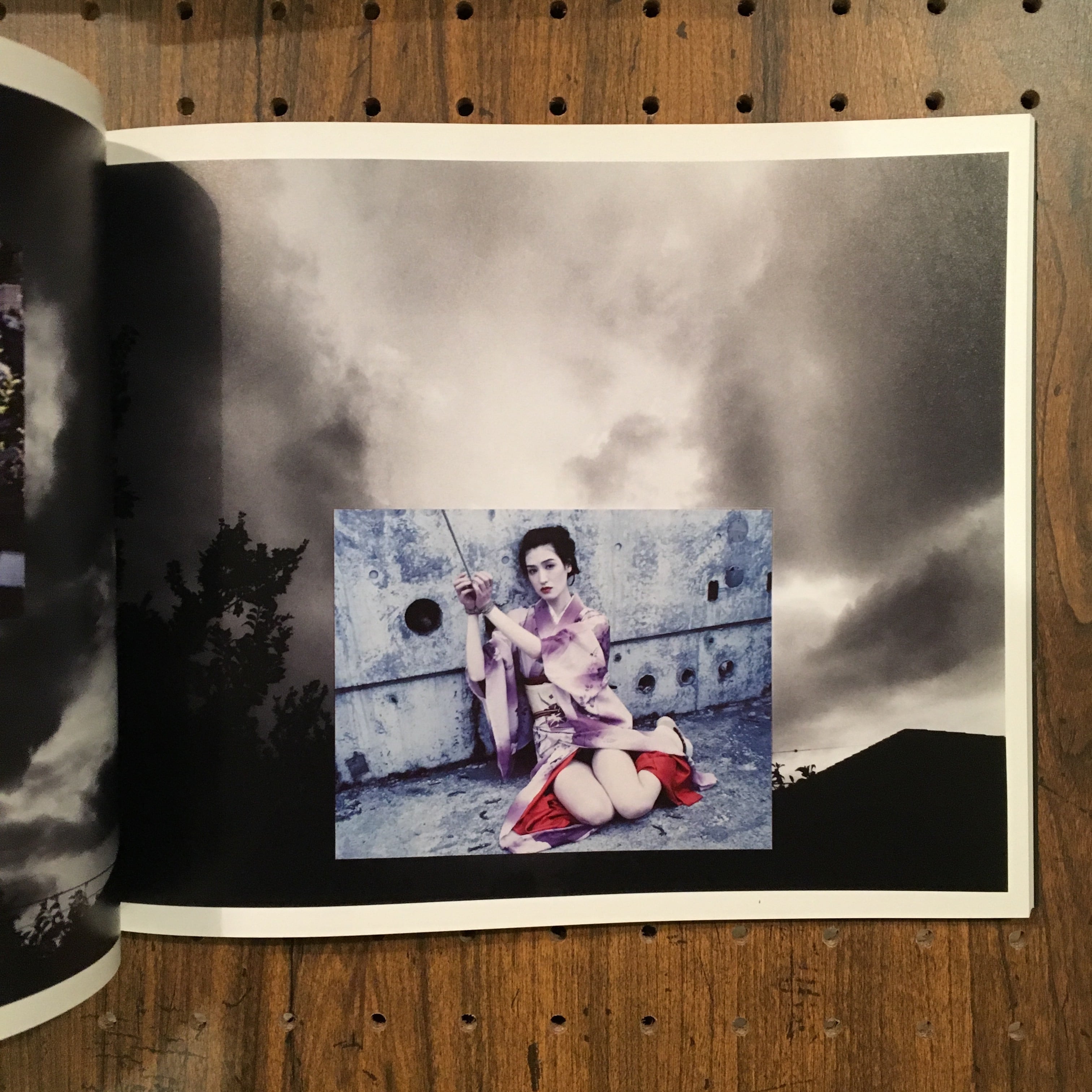 遺作 空2/荒木経惟 | 百年