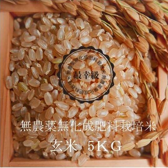 無農薬栽培 〈令和4年産〉南魚沼産コシヒカリ 玄米10kg | yamamotoke-store
