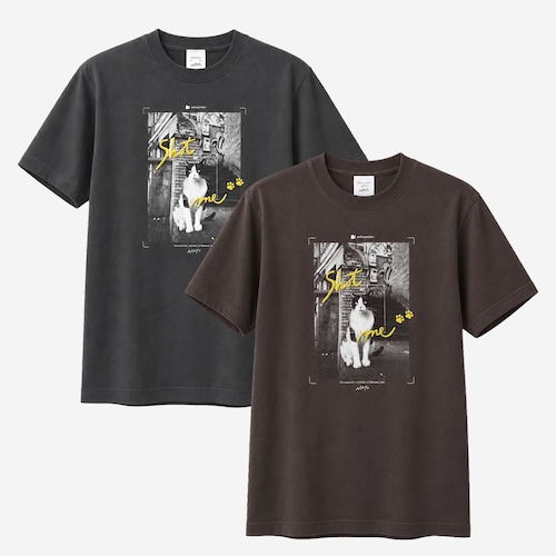 猫に心打たれたTシャツ