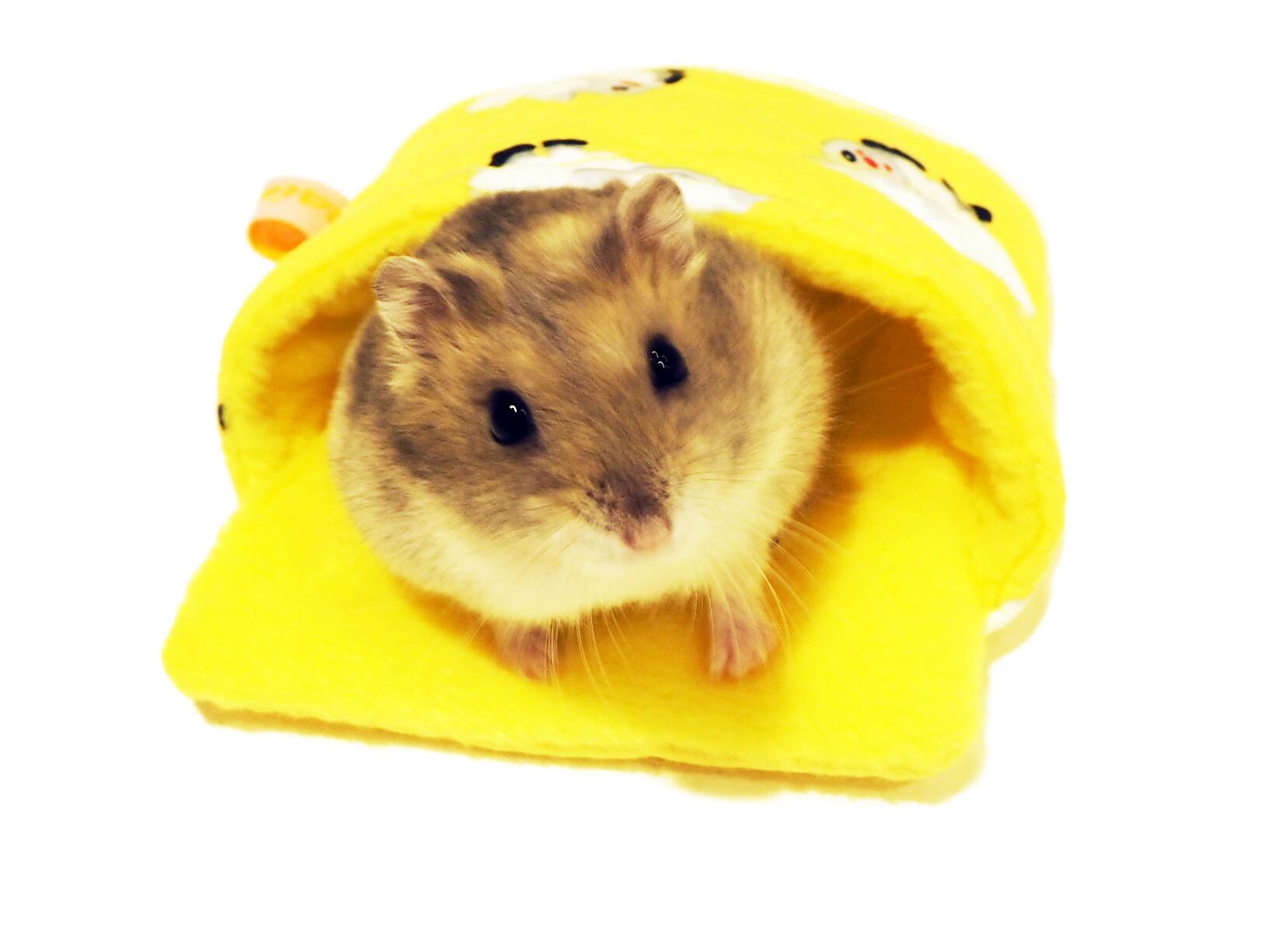 【小動物用品】ジャンガリアンのプチ寝ぶくろ　イエロー