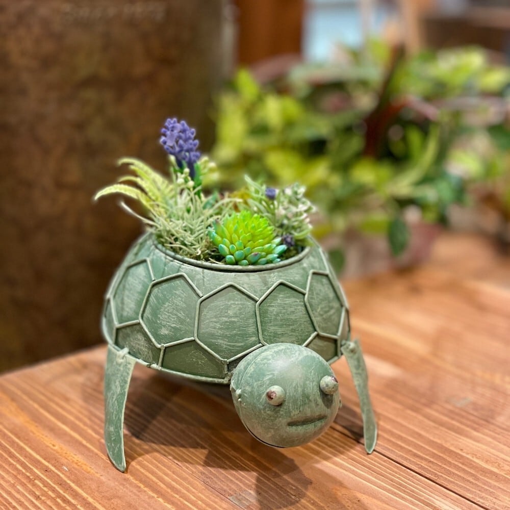 ブリキ タートルプランター 植木鉢 亀 4841 かわいい ポップ