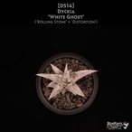 【送料無料】Dyckia 'White Ghost'〔ディッキア〕現品発送D514