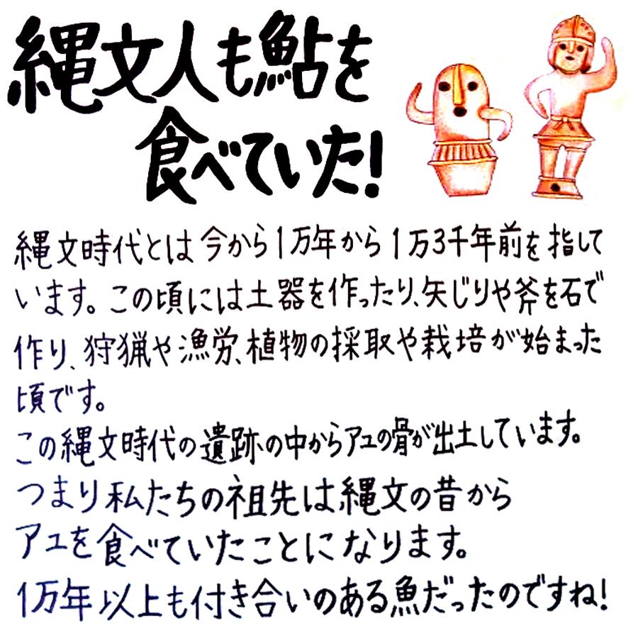 鮎（冷凍・大）5尾セット～しずかのあゆ～ | 山崎水産有限会社