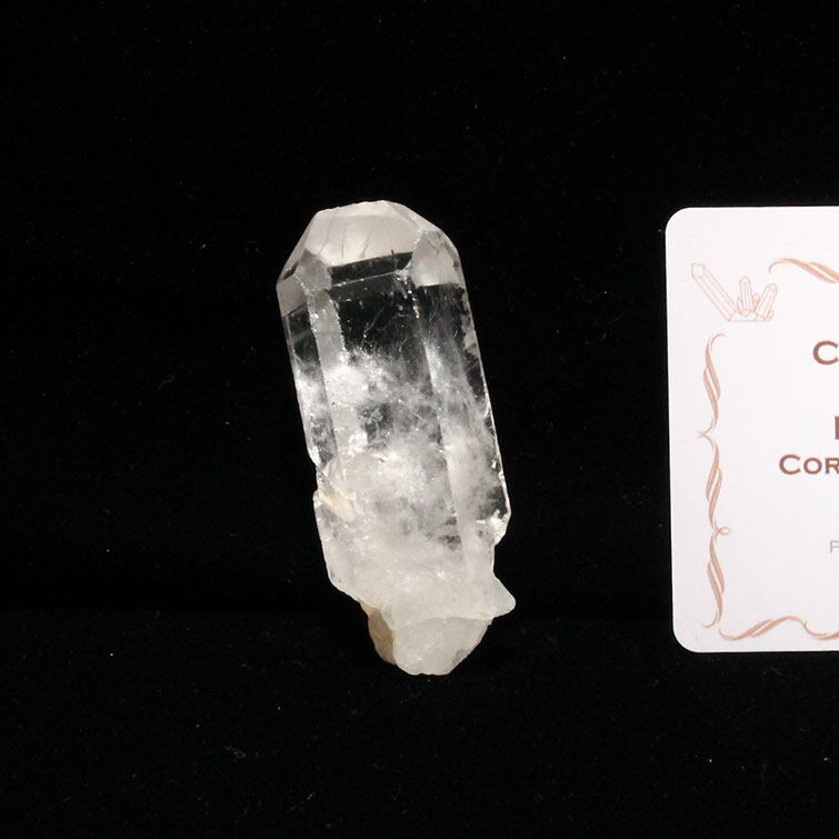 レムリアンシード 水晶 原石 ブラジル ミナスジェライス州 コリント産 証明書付属 一点物 271-297