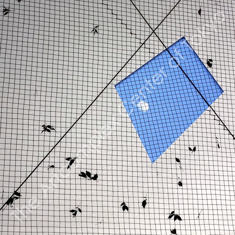 NaNaHa「Where you were - あなたがいたところ」