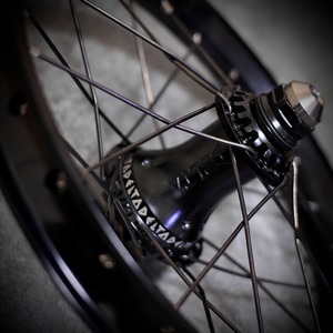 DELTΔ BMX ALLOY KIDS REAR WHEEL (14INCH)