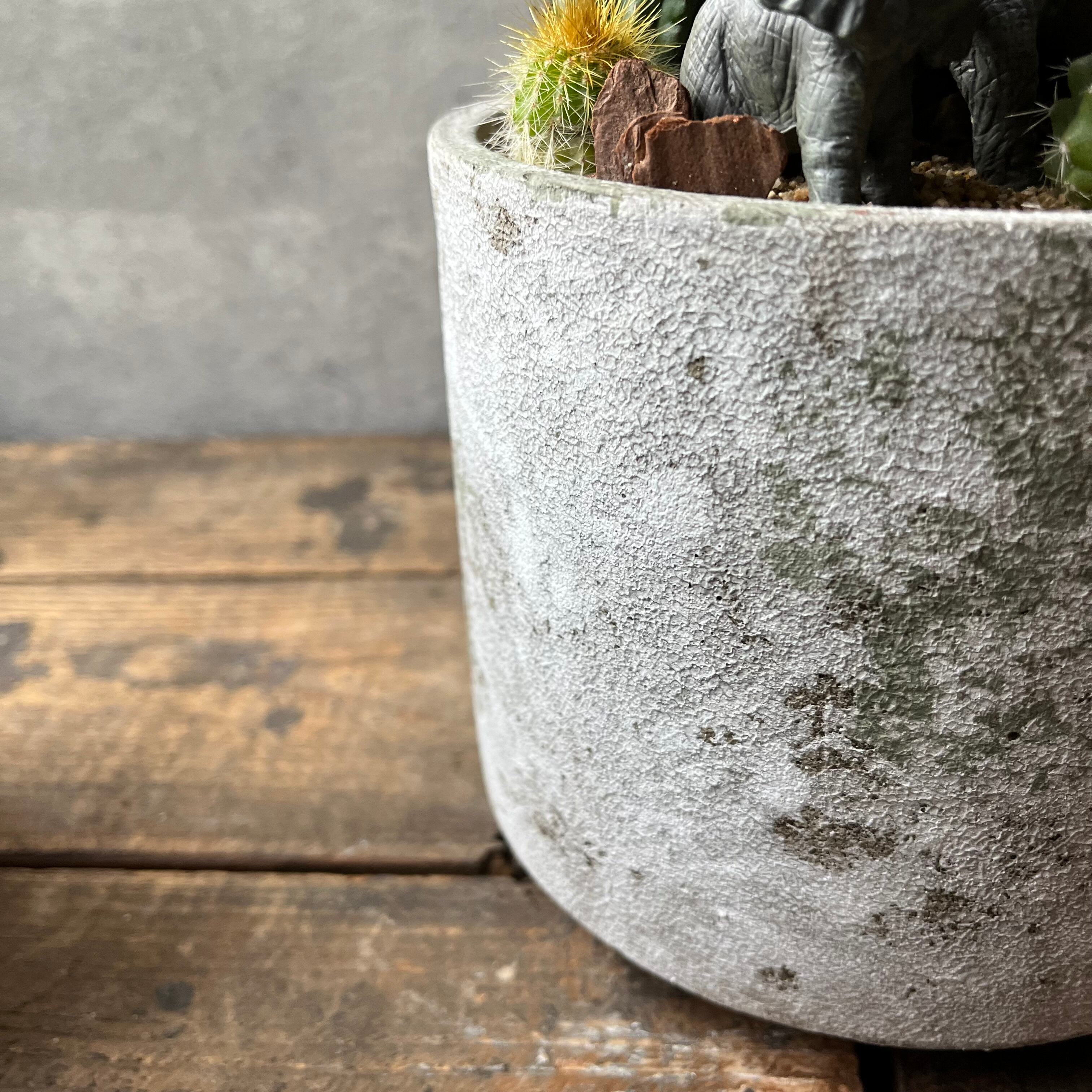 サボテンのサー太郎さま専用 s15071-4.jpg