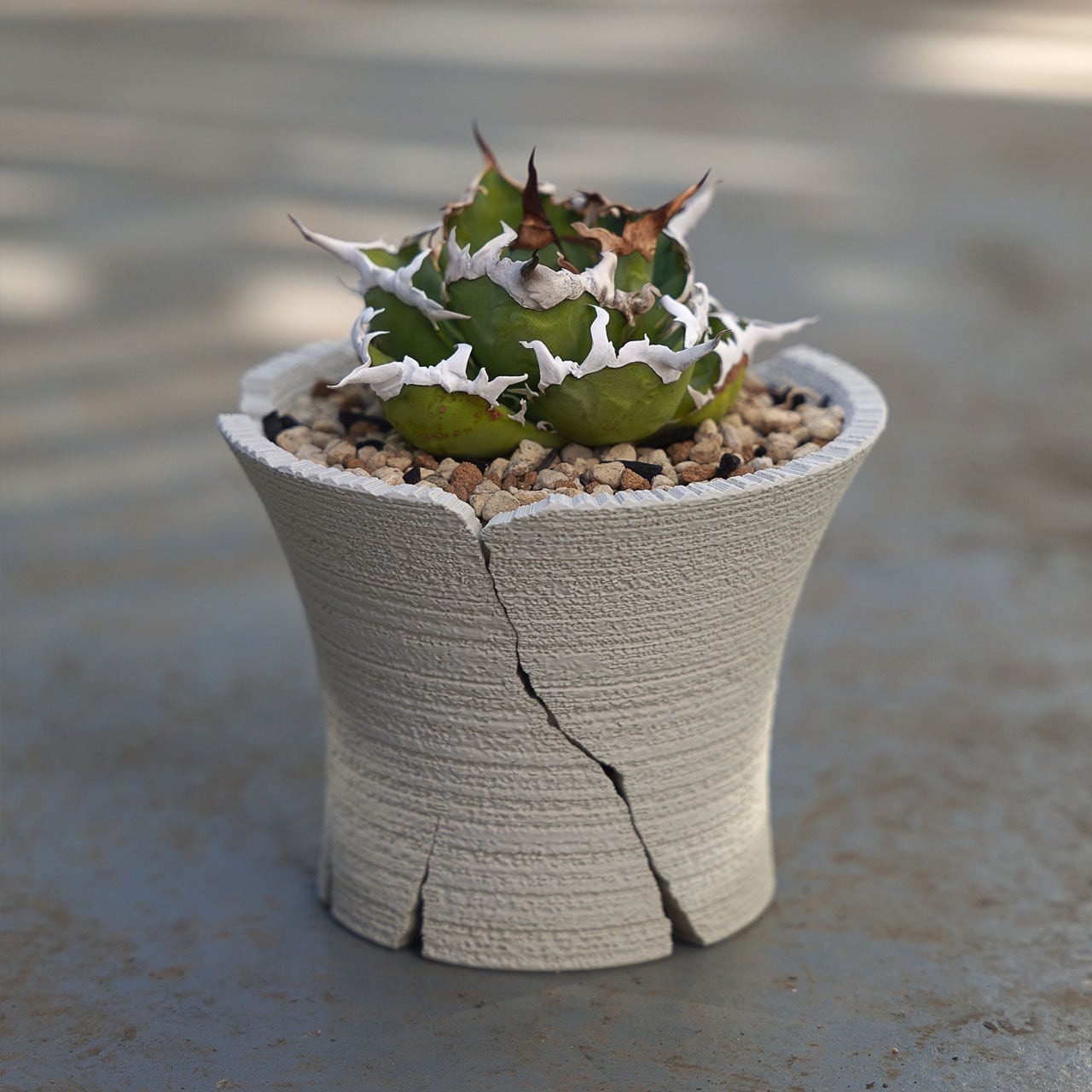 クラックスリット鉢 (13cm) | Green Mountain Store