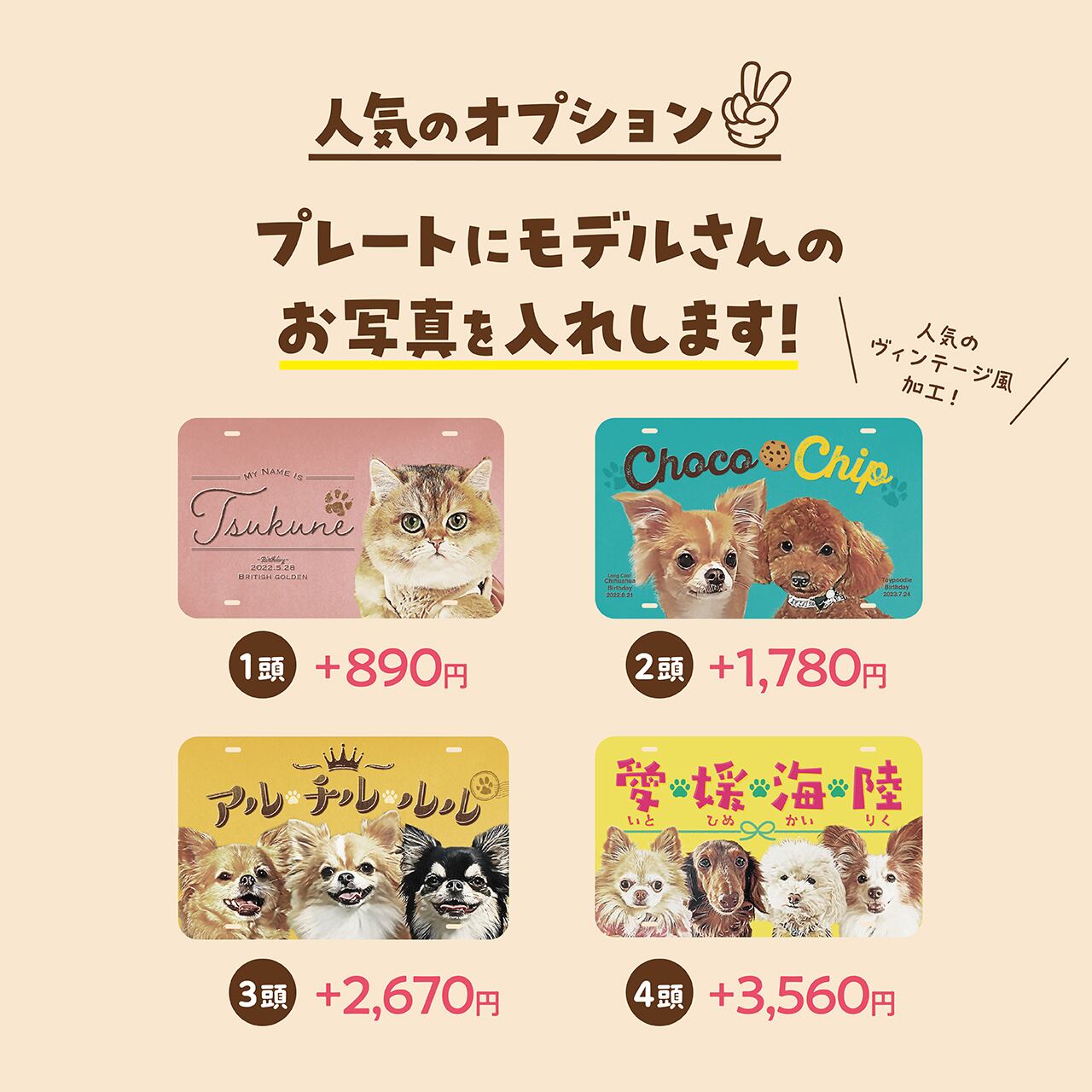 カート ネームプレート〈ヴィンテージstyle〉 ☆写真入りはオプション