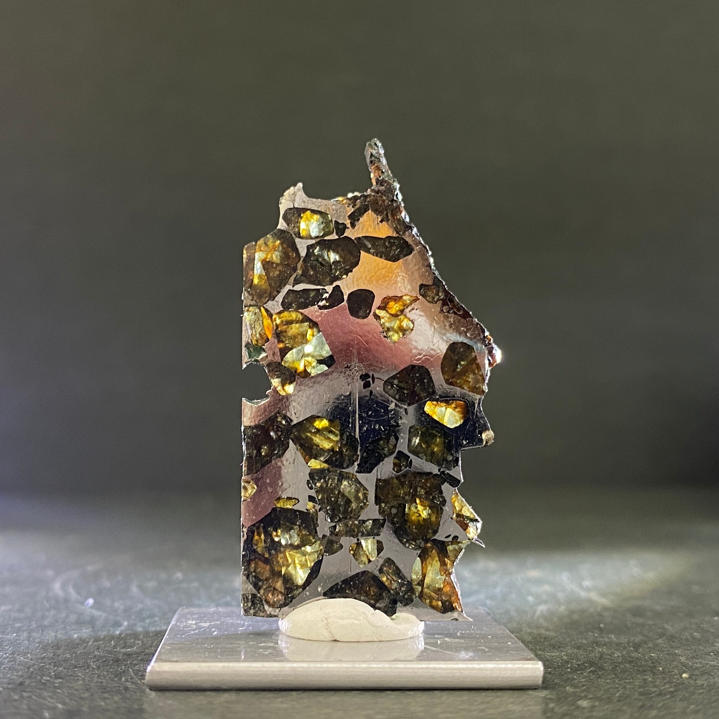 セイムチャン 隕石 8.7g パラサイト 石鉄隕石 たろ 標本 Seymchan M2314 