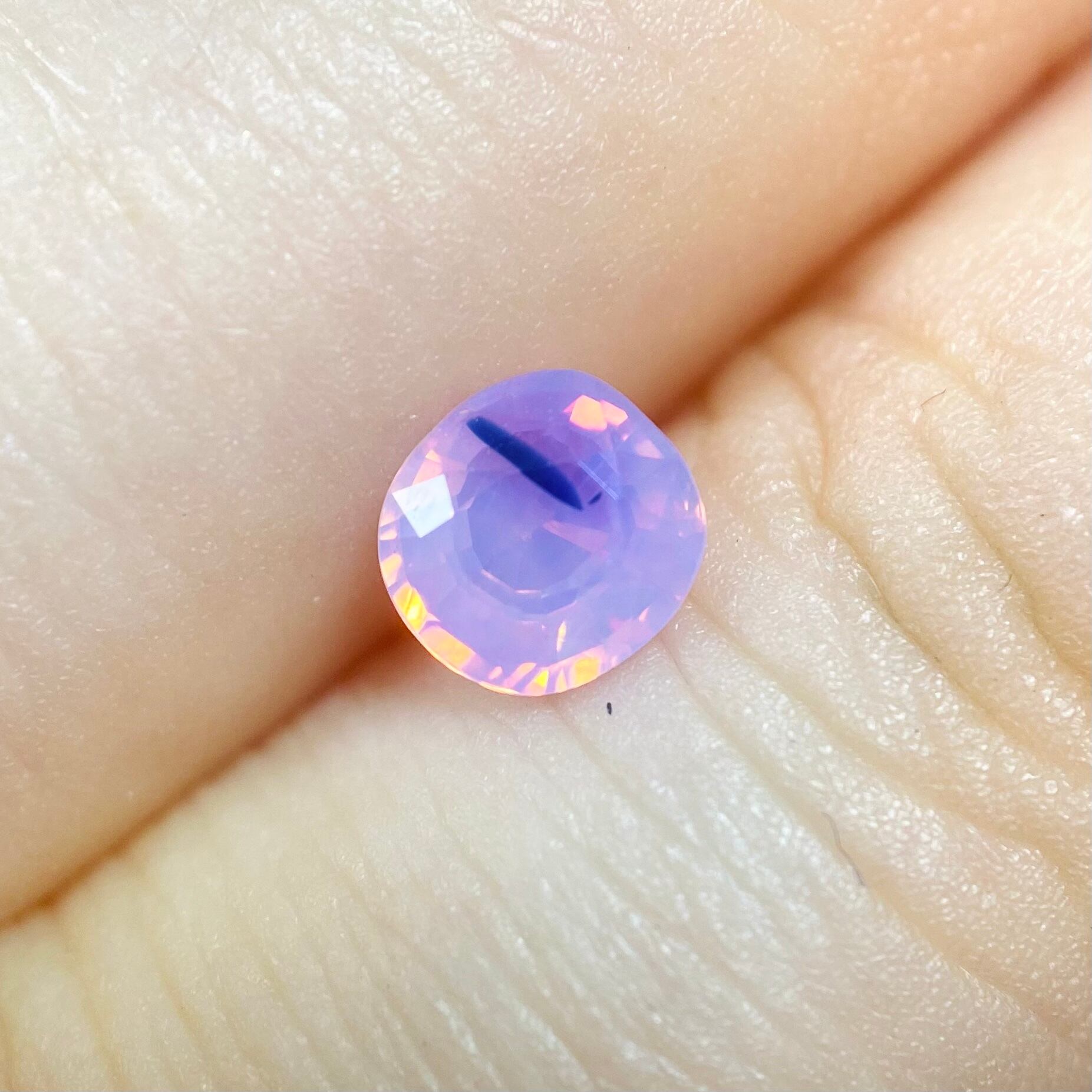 桜満開 サファイア