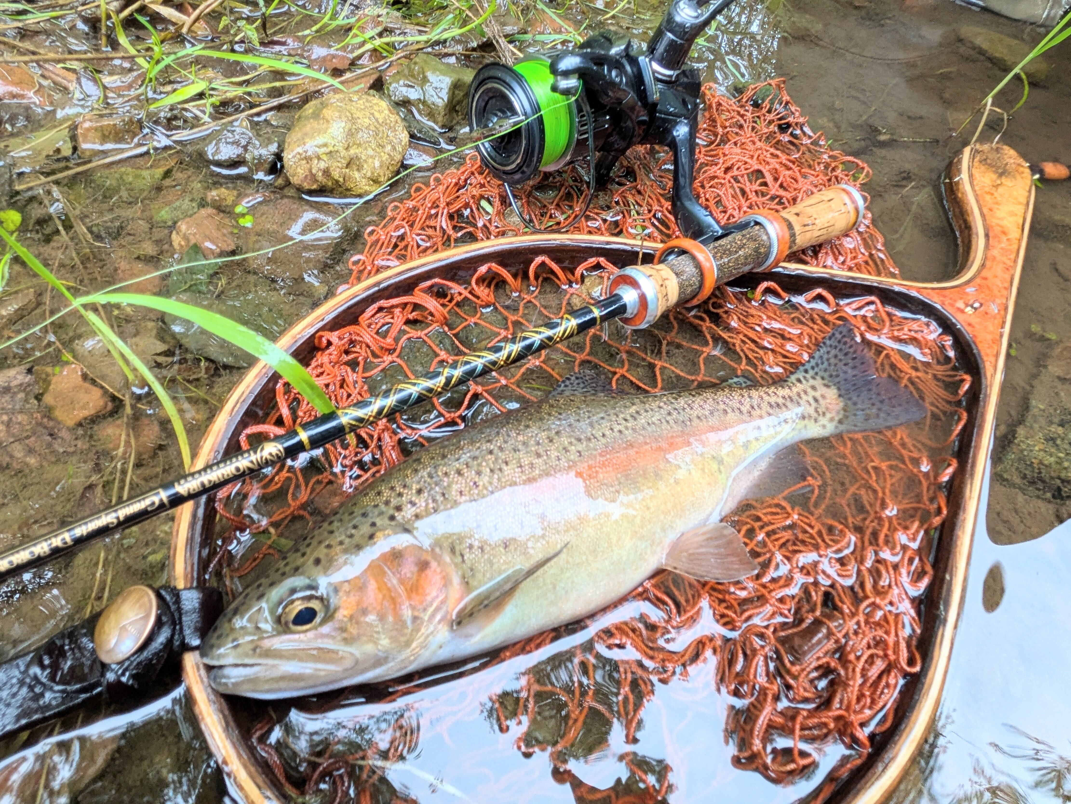 ノリクラインターナショナル Dr.BORON 55XUL | GO-SLOW.fishing