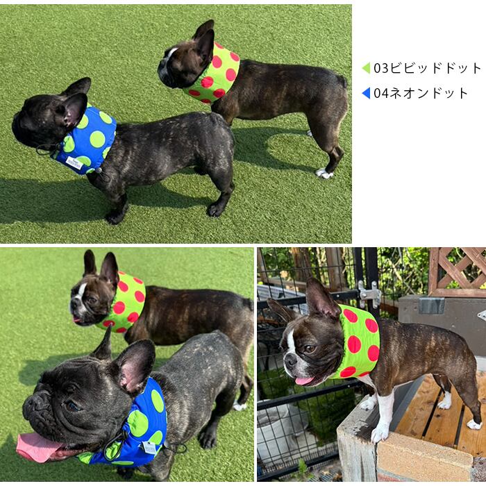 カラー2,5,6】KM863G 保冷剤付き クールネック 犬 リップストップ