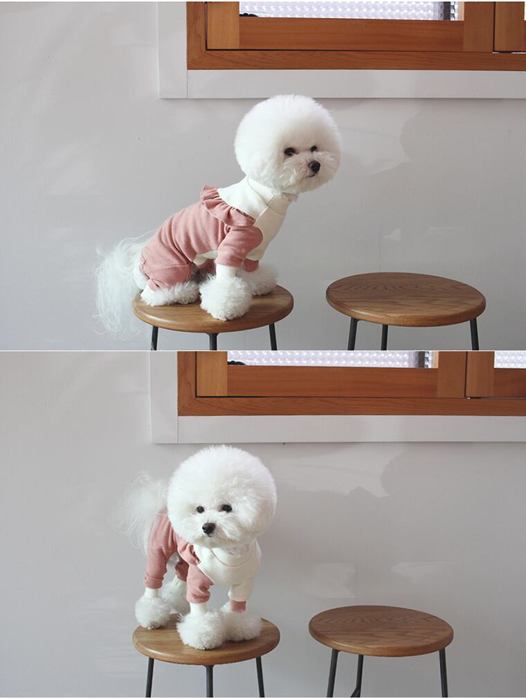 【SALE】斜線フリルオールインワン S ~ XL 2color  /  犬服 新作 オールインワン つなぎ ドッグウェア 小型犬 中型犬