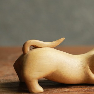 伏せて獲物を狙う、味わい深いネコ