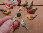 AMERICA 1960s Vintage bird magnets A