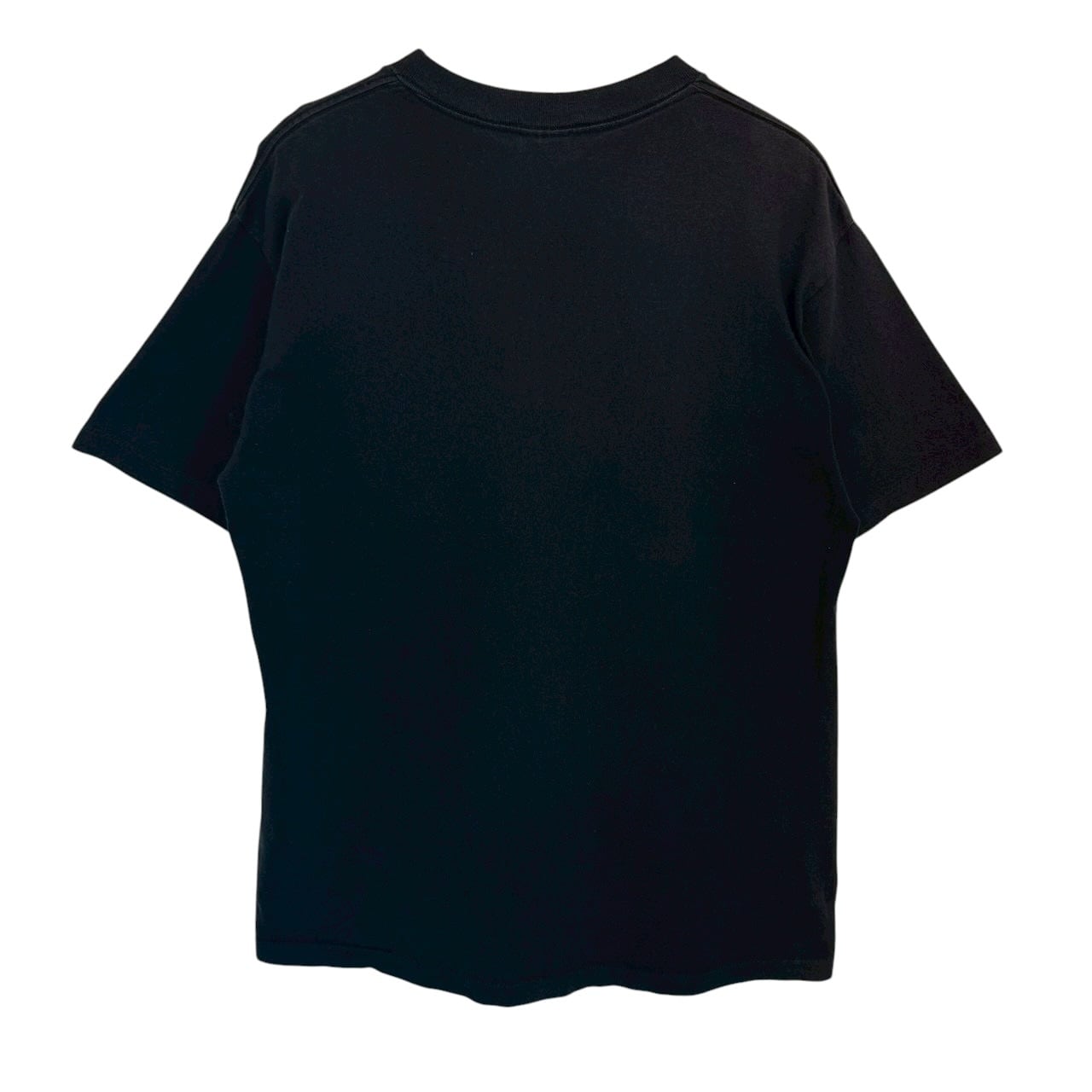 stussy ステューシー Tシャツ M フロントロゴ プリントロゴ フォト 90s