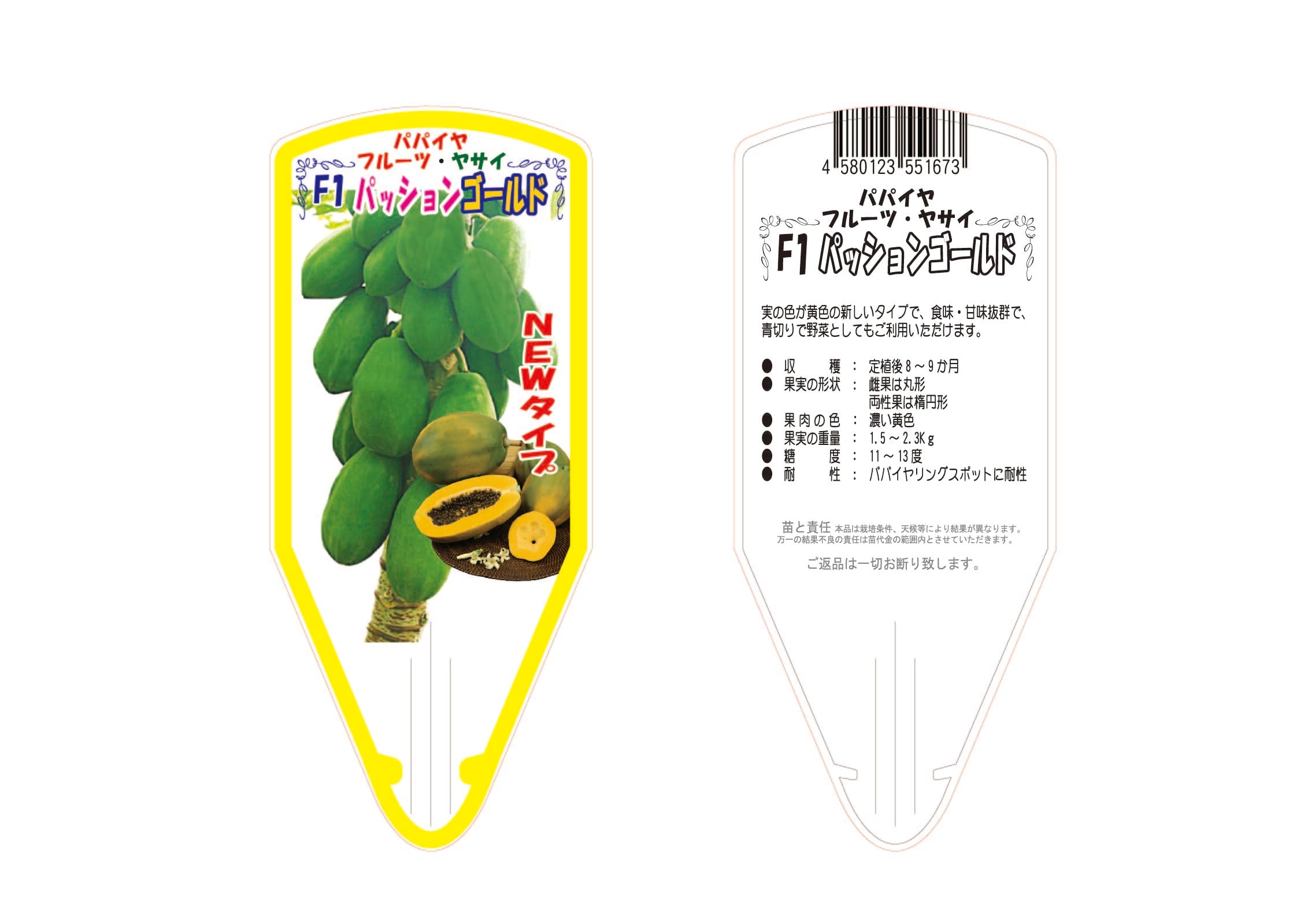 パッションゴールド2本セット」青パパイヤ苗 | wakabaseed