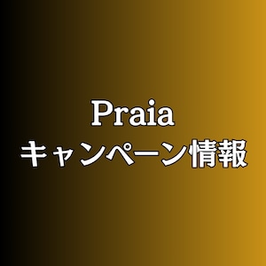 ☆ Praia information ☆ ご購入前にお読みください!!