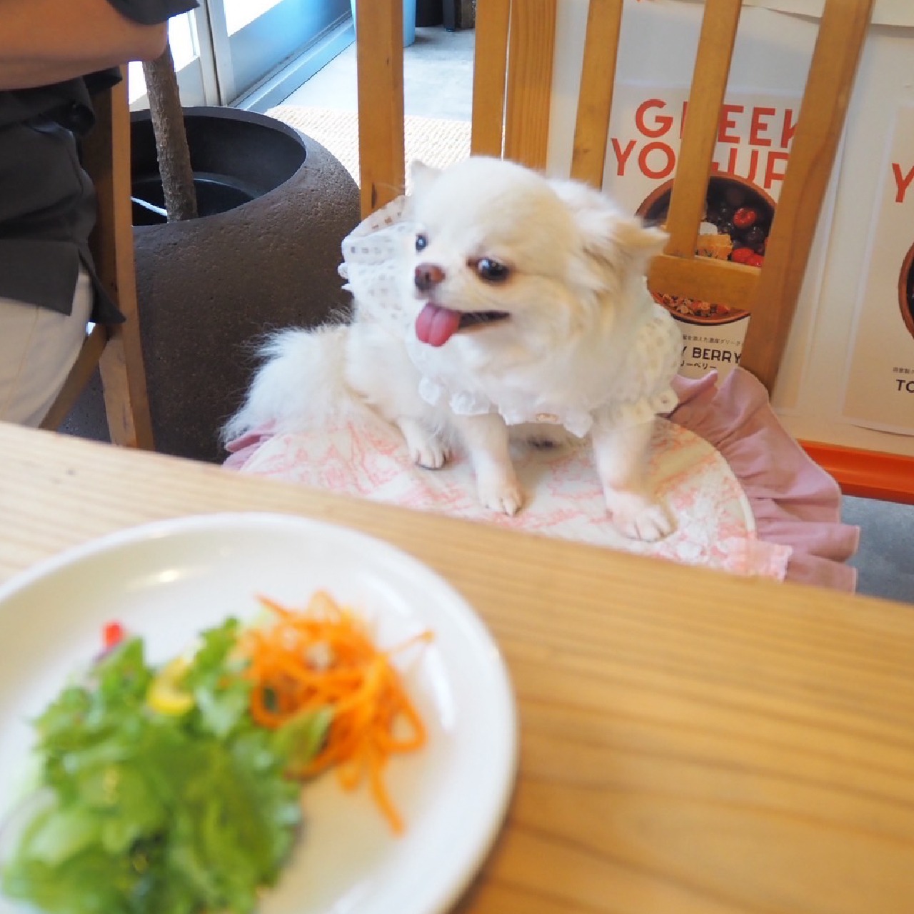 ラグジュペリア カフェマット