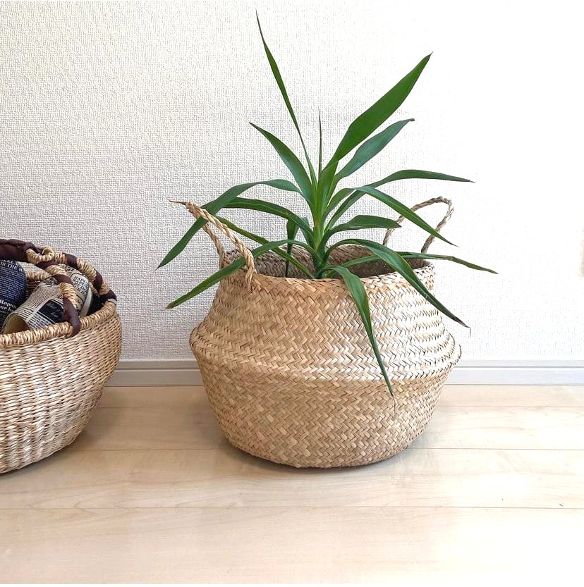 シーグラス バスケット 水草バスケット（SGA-200L） | Naturalsoul