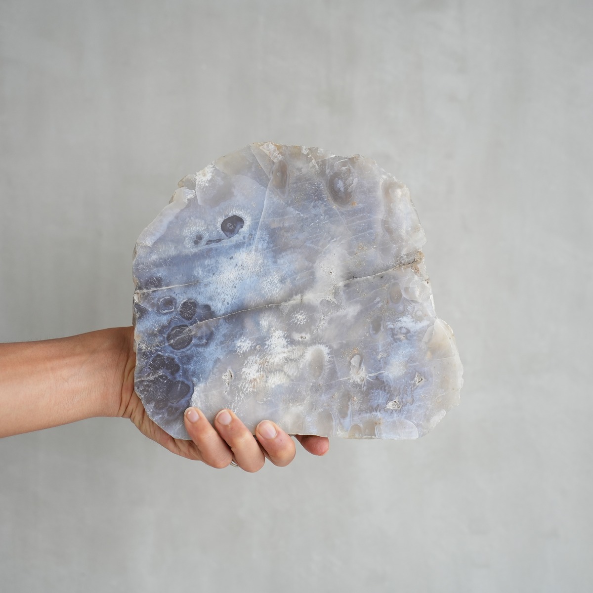 AGATE PLATE B LAND Lifestyle Shop