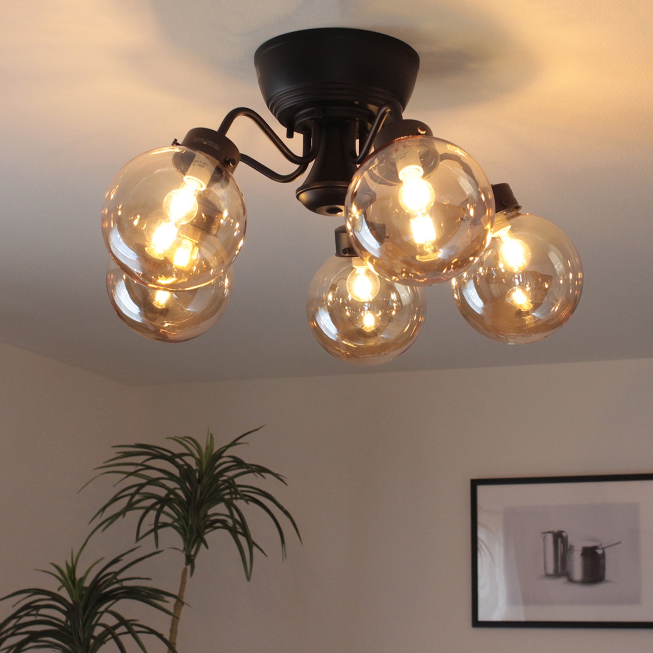 CAROL AMBER 5　キャロル アンバー 5　シーリングライト