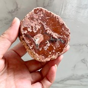 ペトリファイドウッド（珪化木）8＊木の化石＊天然石インテリア＊置き物
