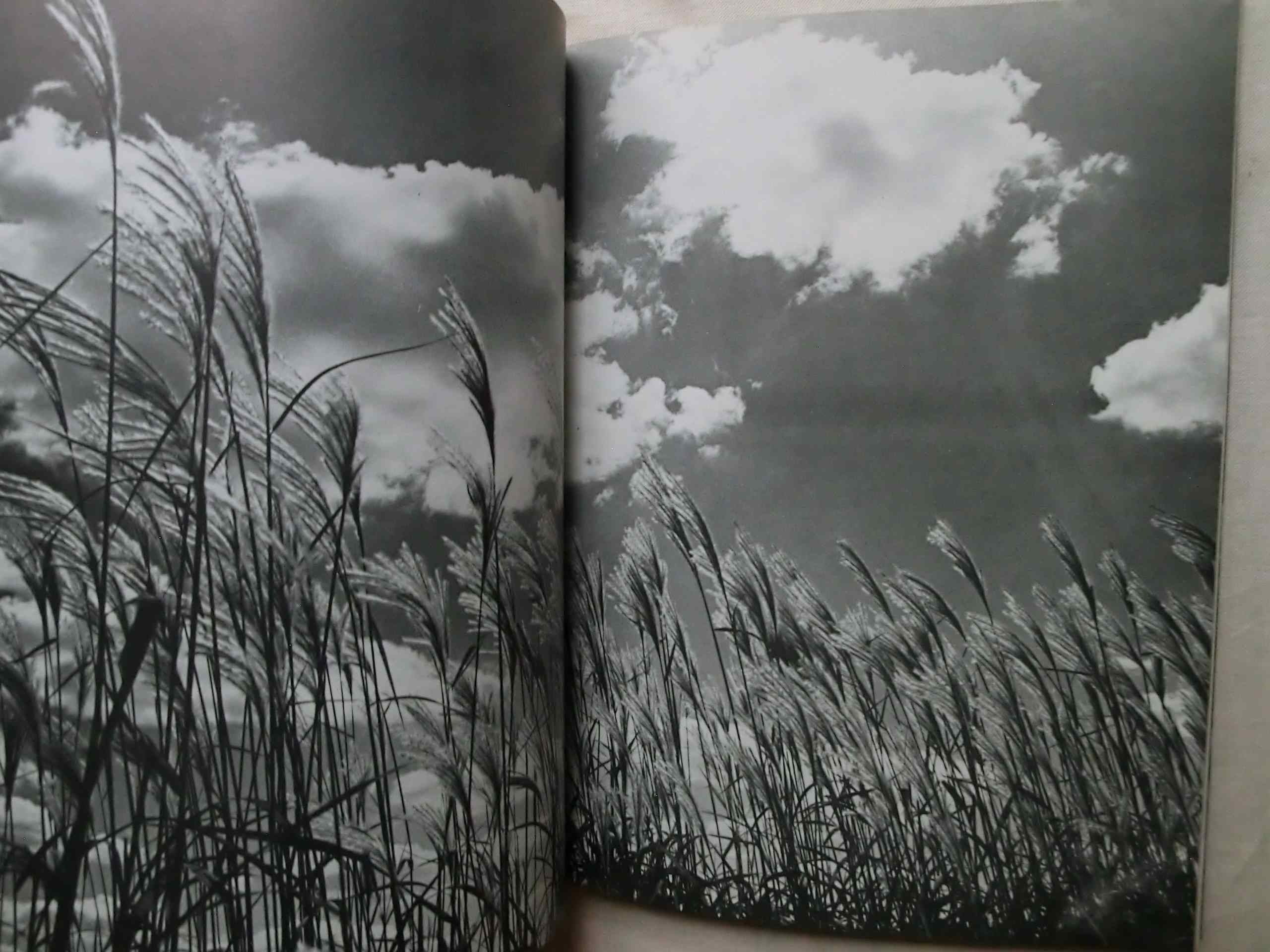 ウォルト・ホイットマン 草の葉 写真詩集 The Illustrated Leaves of