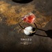 【006 Blood Moon Collection】 オレゴンサンストーン 鉱物原石 14kgf / シルバー925 リング 天然石 アクセサリー (No.2802)