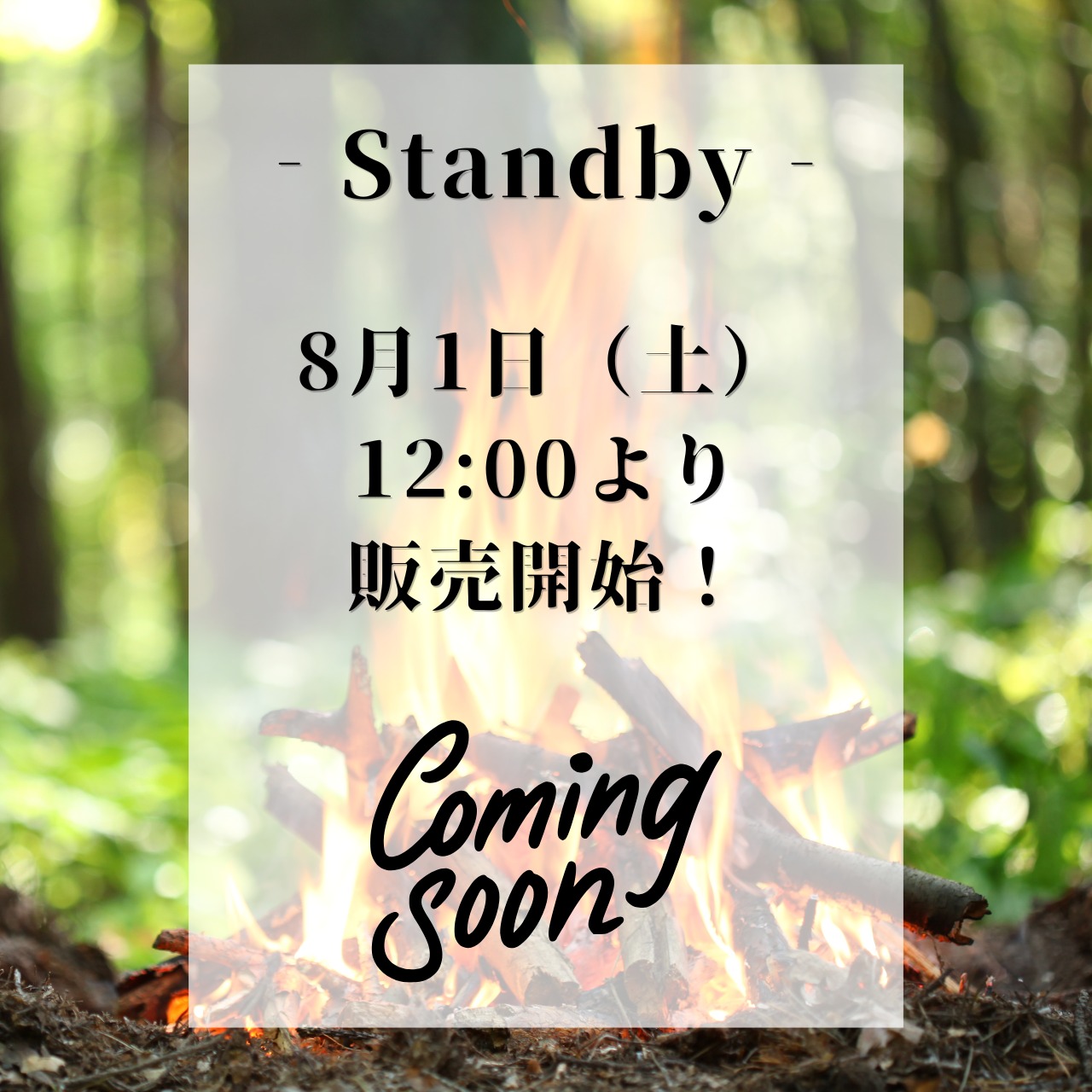 【スピンオフ商品！】特上 ソースカツ丼セット