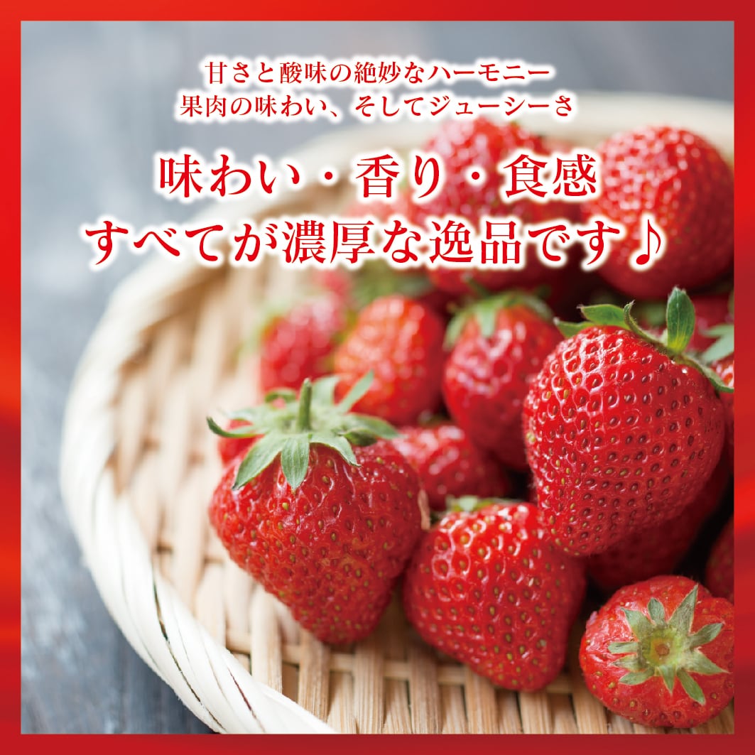 山形いちご「おとめ心」L〜2Lサイズ 2パック 2026年4月発送