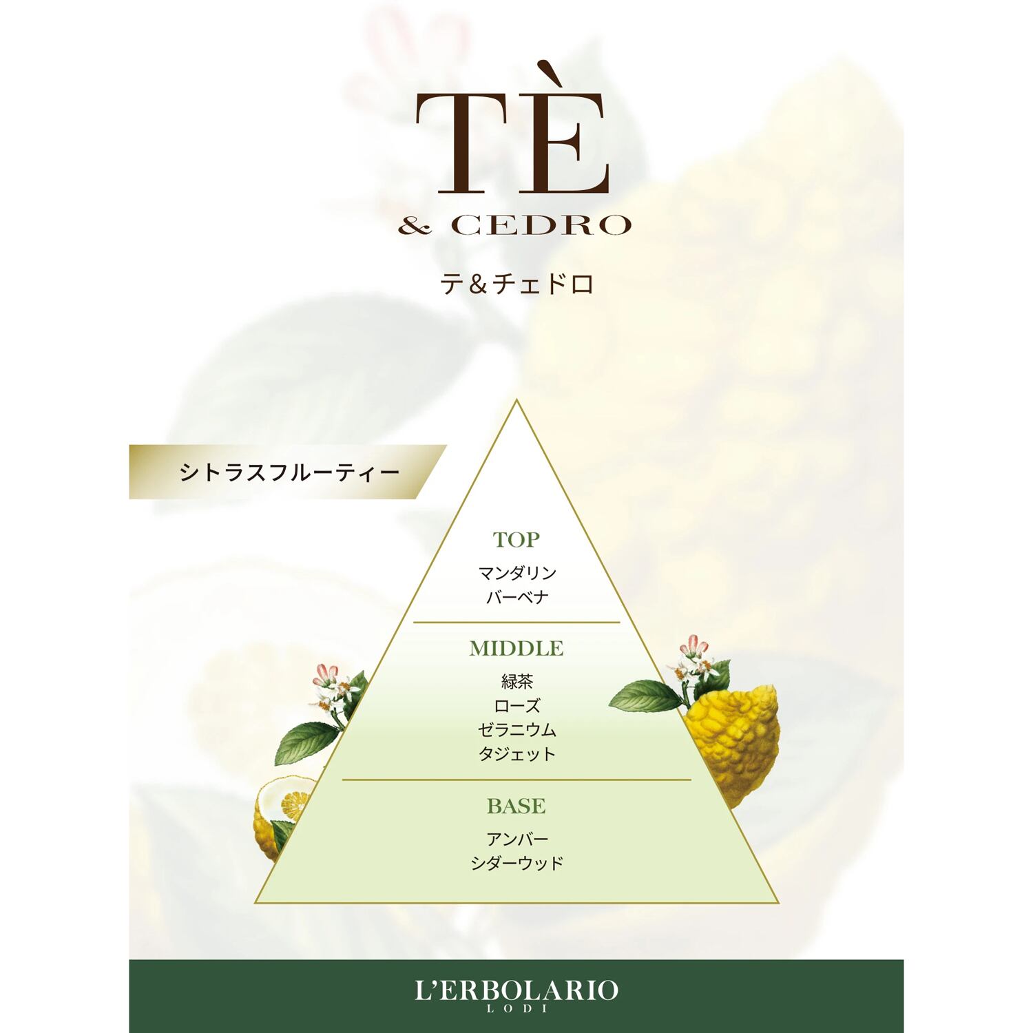 Te e Cedro】テ＆チェドロ パフューム 50ml｜レルボラリオ L'ERBOLARIO